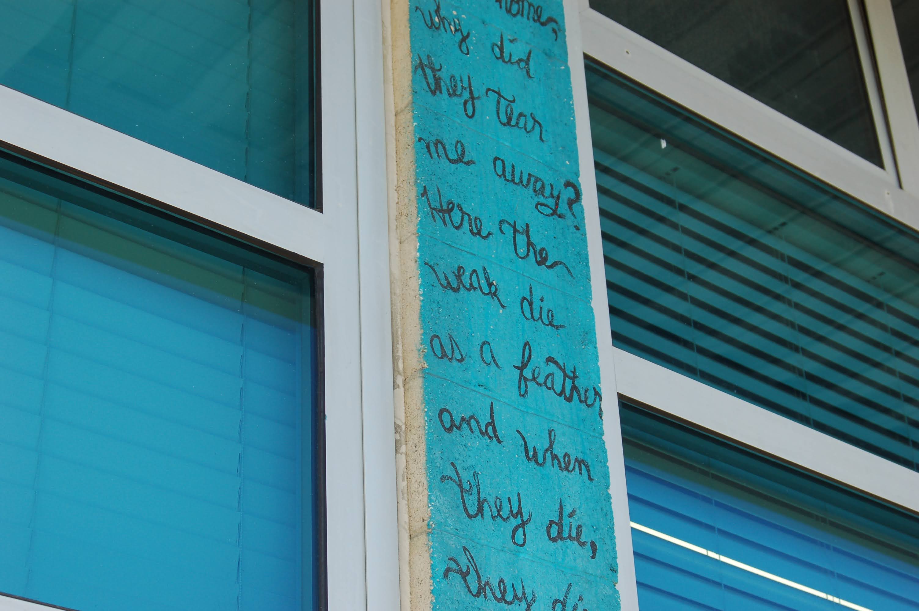 SDHS Butterfly Project