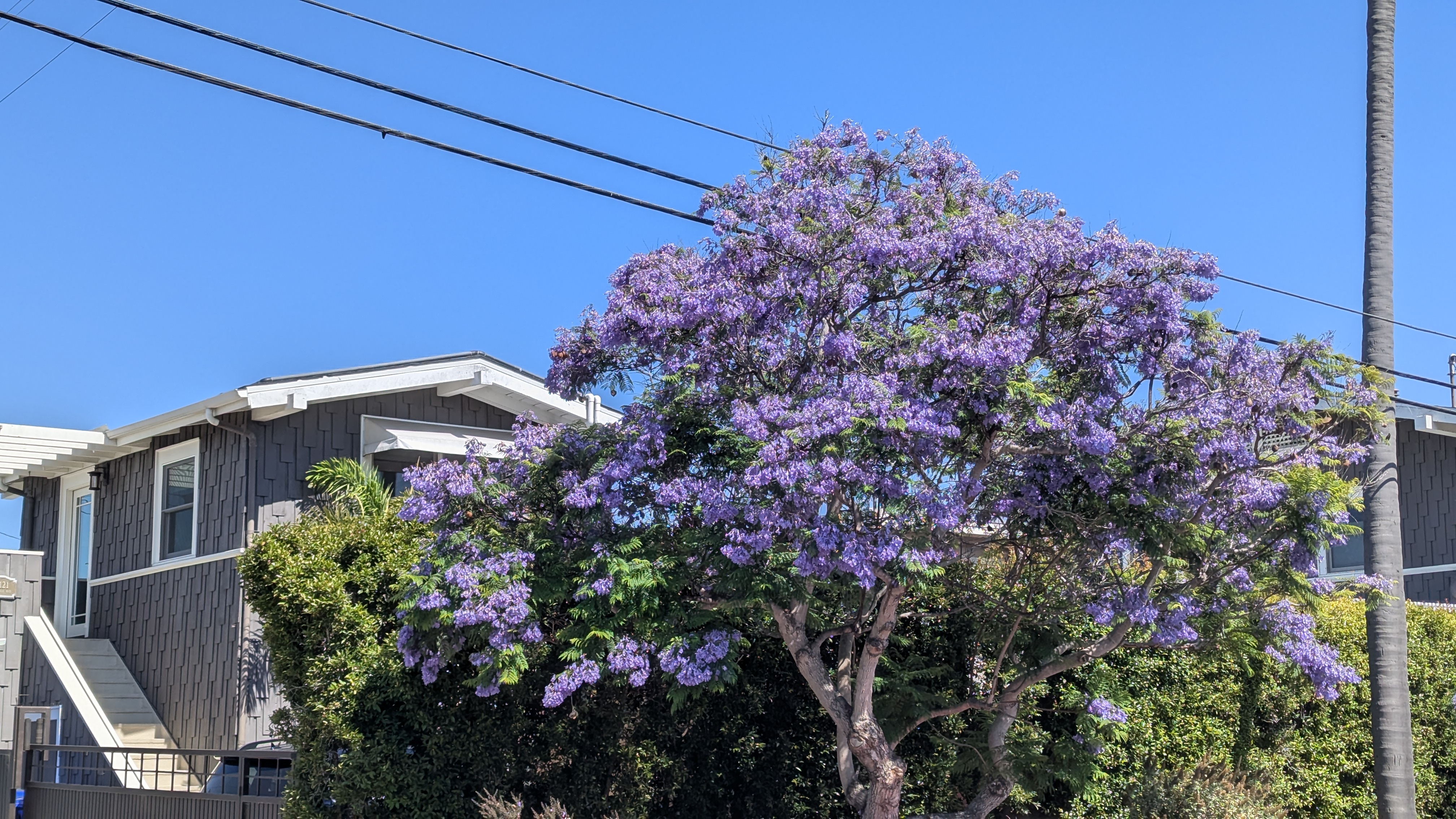 The life and death* of the ADU bonus