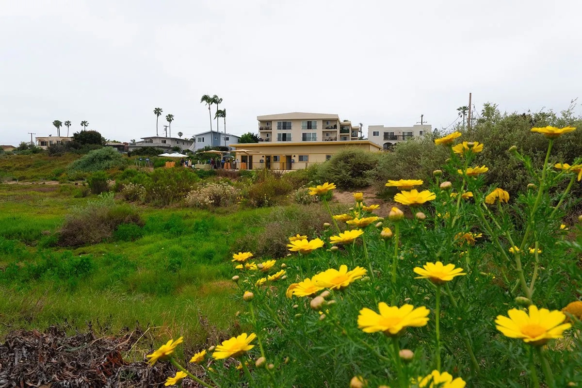 Kendall-Frost Marsh Reserve Field Station