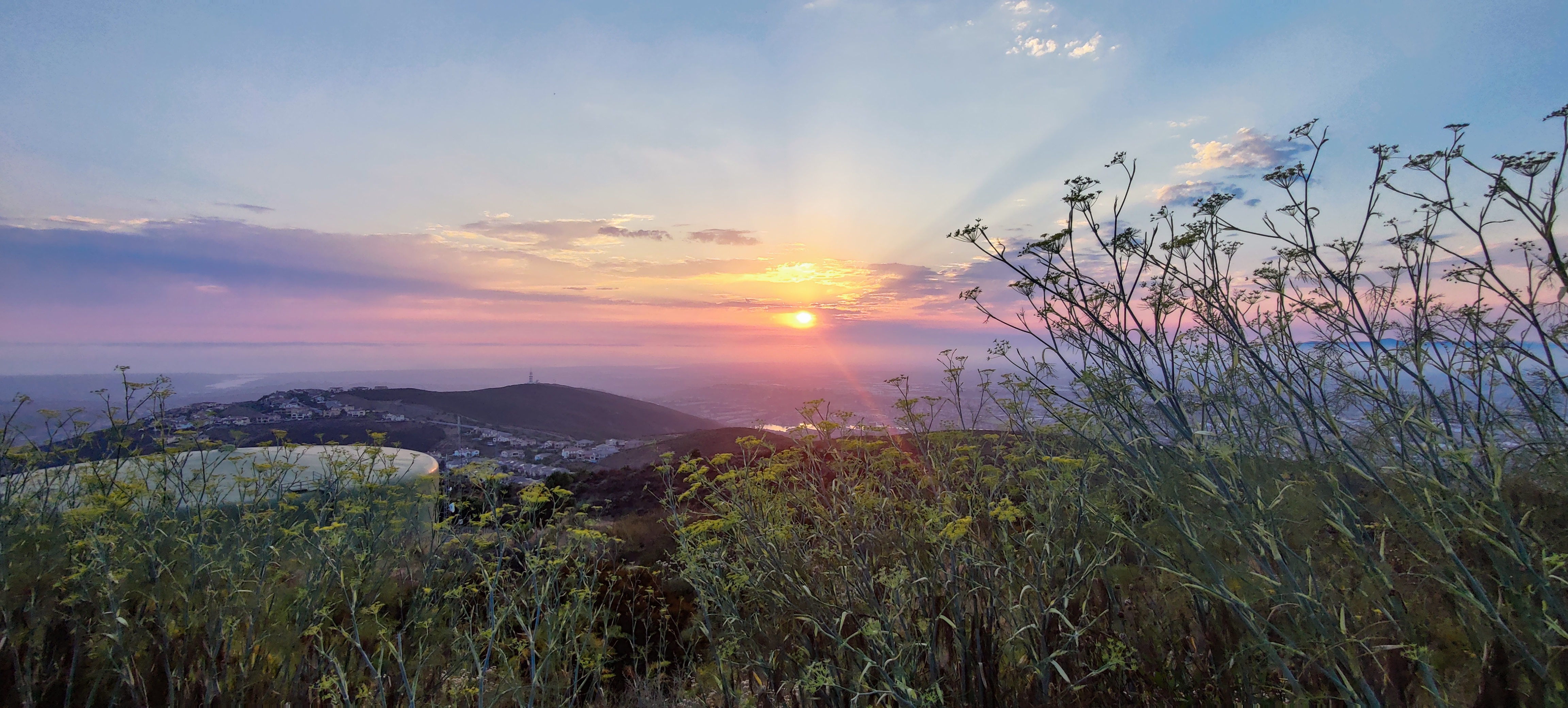 Mental Health Resources