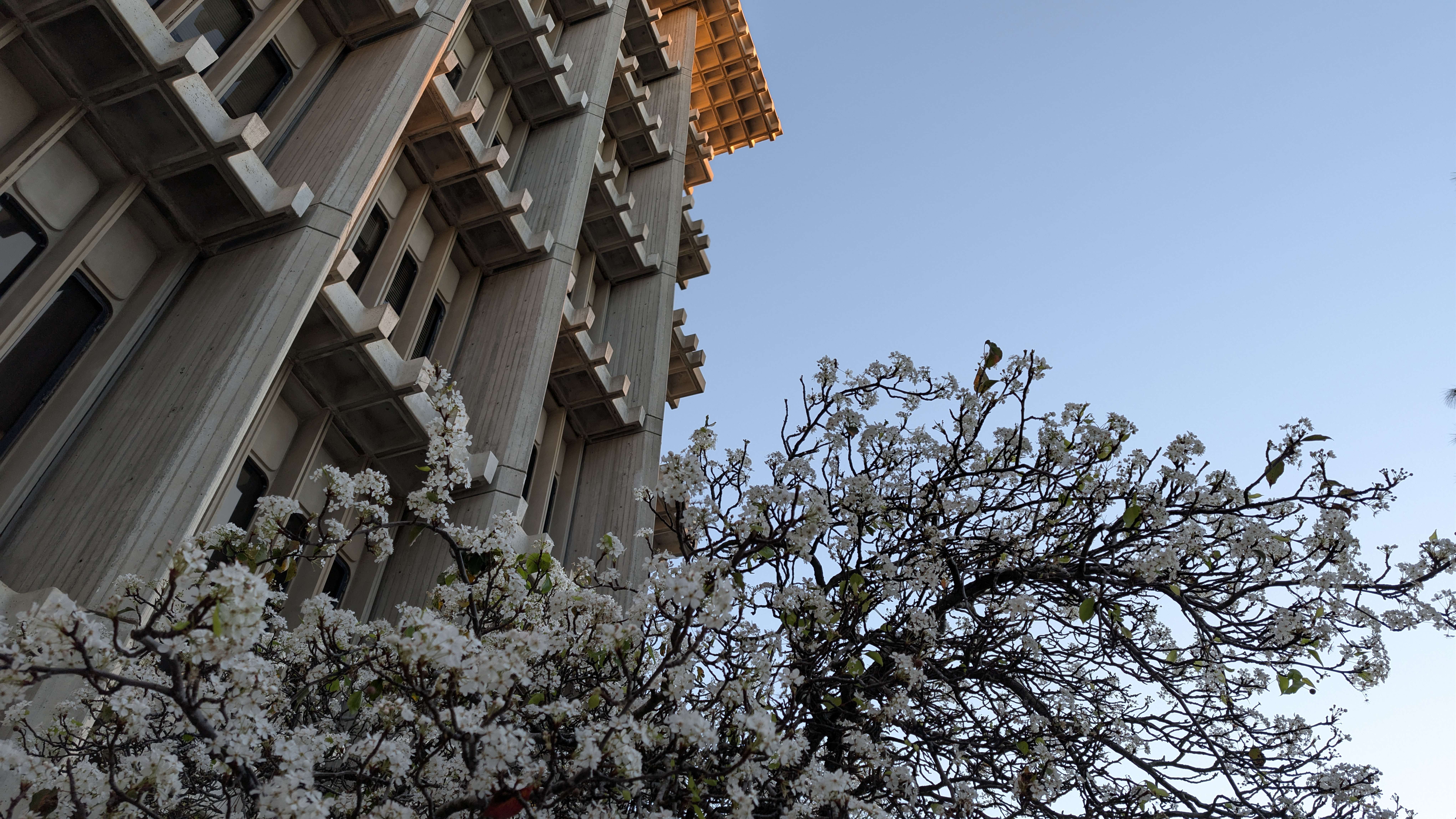 Blueprint Nights: Trivia!